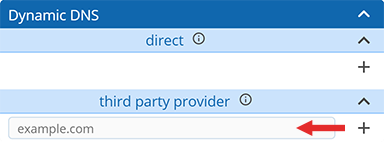 Screenshot showing Dynamic DNS third-party provider section of account settings