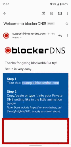 How blockerDNS works Animated screenshot showing setup procedure after signing up and how easy it is
